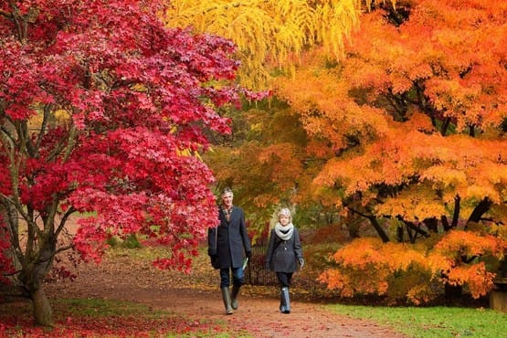 Westonbirt Arbaretum