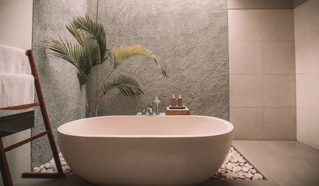 The best plants for a small bathroom header