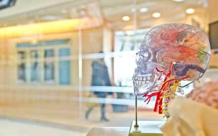 Top 5 brain training activities
