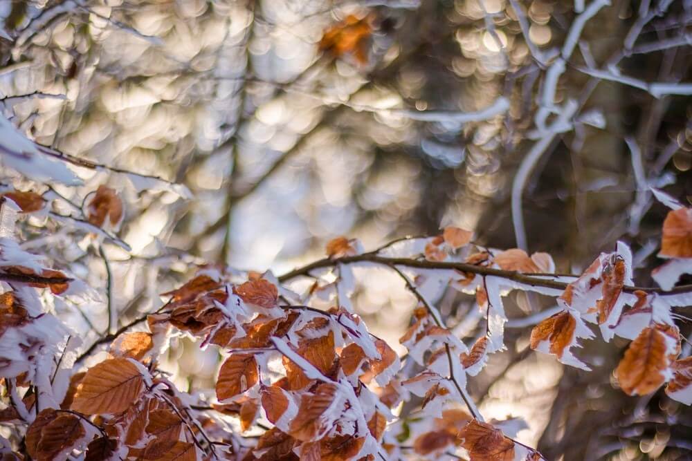 How to prepare your home for winter