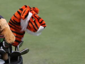 golf clubs and tiger