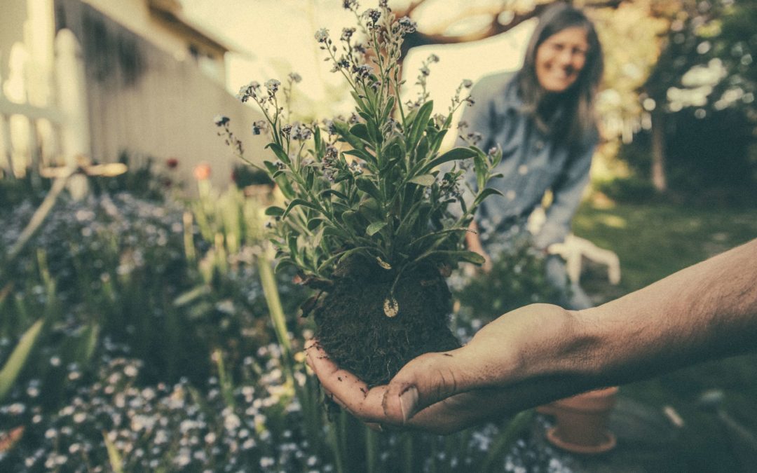 How to Make the Most of Your Garden in Older Age