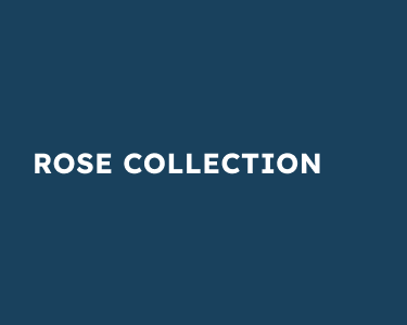 Rose collection